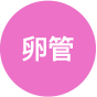 Alt tag