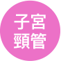 Alt tag