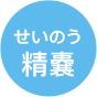 精嚢(せいのう)