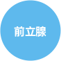 前立腺