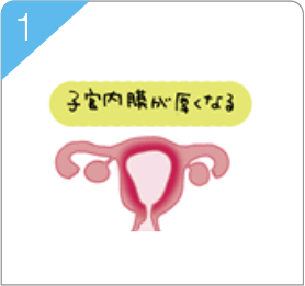 月経周期図
