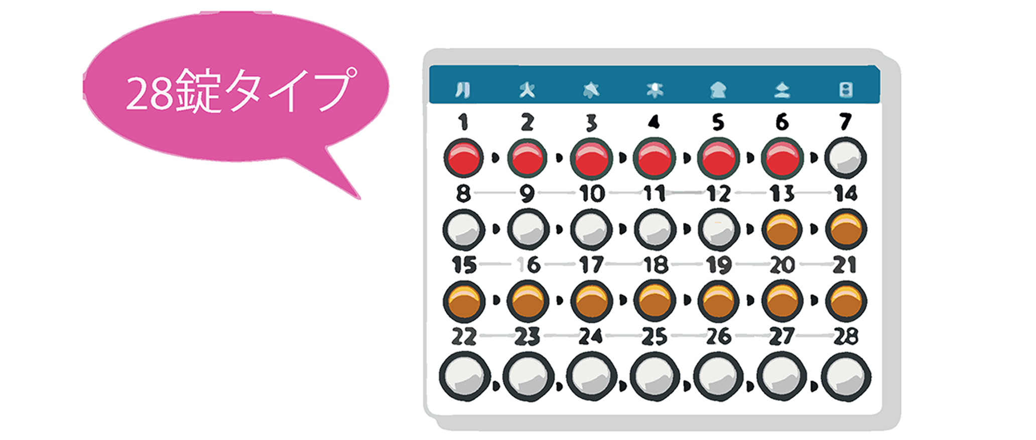 28錠タイプイメージ