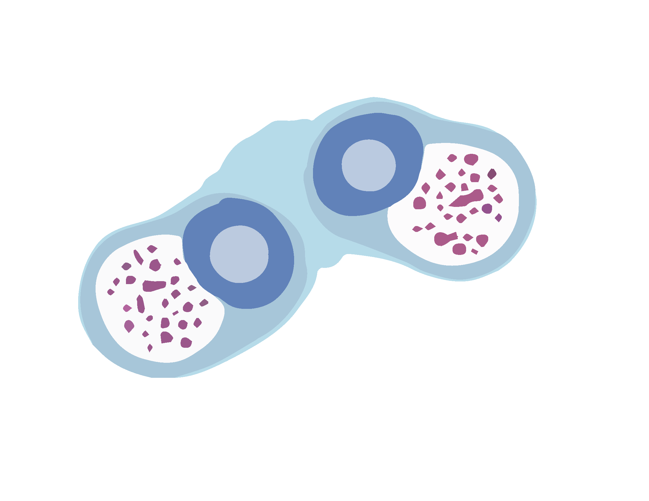 性器クラミジア感染症 イメージ