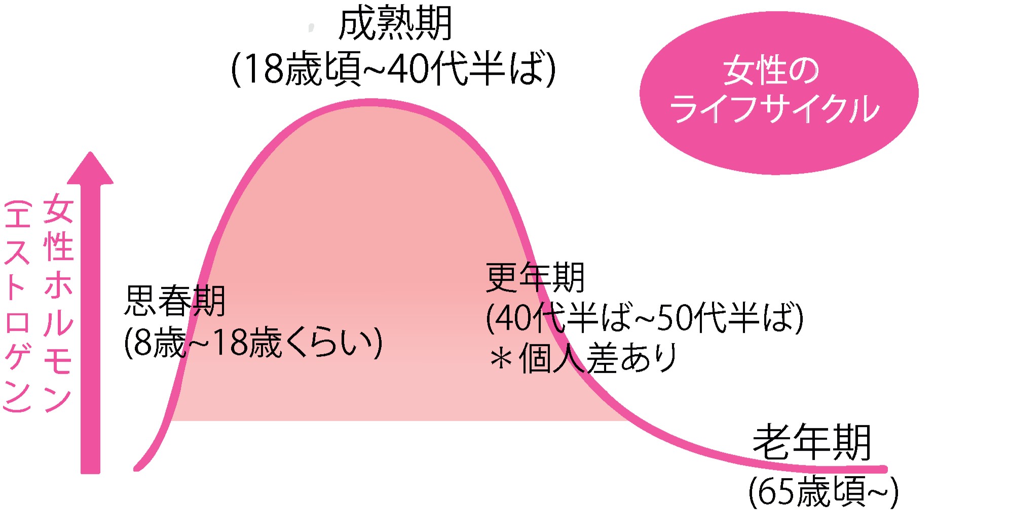 女性のライフサイクルに伴うホルモン変動